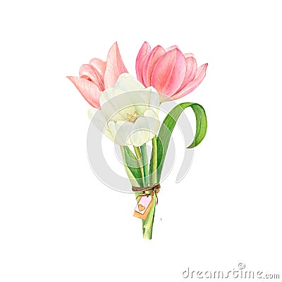 Watercolor illustration of a bouquet of flowers from tulips tied with jute, with a valentine, a tag Cartoon Illustration