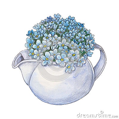 Watercolor illustration with bouquet of forget-me-nots in teapot Cartoon Illustration