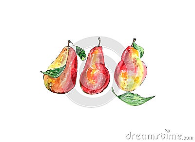 Watercolor illustration of bright, juicy, sweet pears Cartoon Illustration