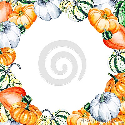 Watercolor illustration of bright pumpkins on a white background. Drawn watercolor frame of vegetables Cartoon Illustration
