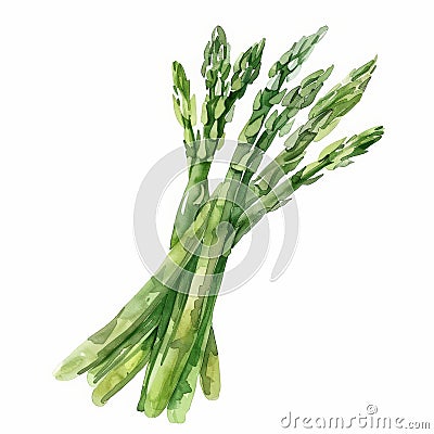 A watercolor illustration of a bunch of asparagus, featuring long green stalks with delicate tips, Cartoon Illustration