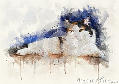 Watercolor illustration of a calico cat Cartoon Illustration