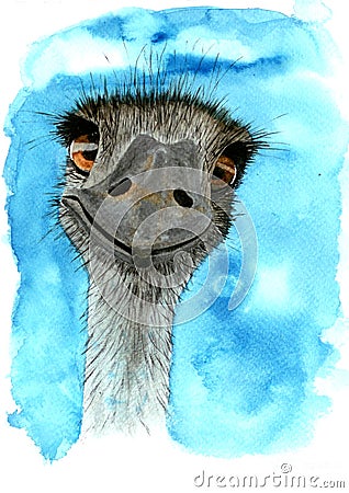 Watercolor illustration of a cheerful ostrich Cartoon Illustration