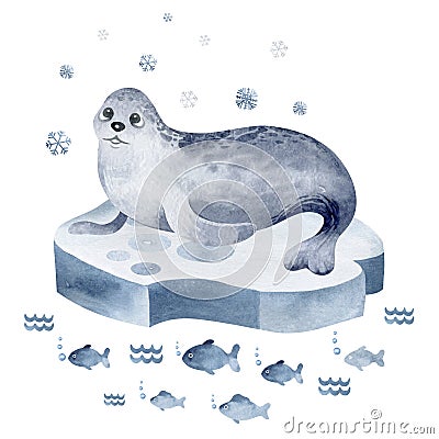 Northern seal on an ice floe among the fish. Cartoon Illustration
