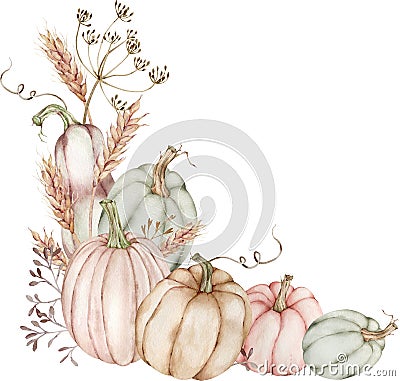 Watercolor illustration of corner border with pumpkins and ears of wheat, flowers of dill. Thanksgiving arrangement Cartoon Illustration