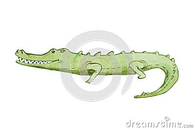 Watercolor illustration of crocodile hand drawn aquarelle Cartoon Illustration