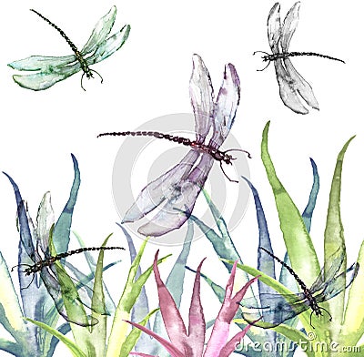 Watercolor illustration. Dragonfly flies on the background of greenery, grass. Abstract green, yellow paint splash. Stylish drawin Cartoon Illustration