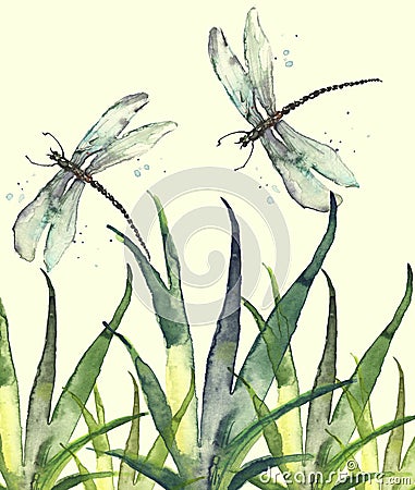 Watercolor illustration. Dragonfly flies on the background of greenery, grass. Abstract green, yellow paint splash. Stylish drawin Cartoon Illustration