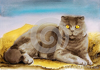 Watercolor illustration of a fawn fluffy scottish fold cat Cartoon Illustration