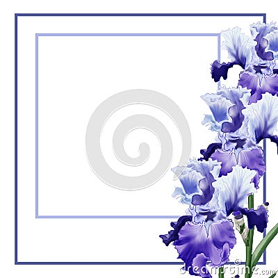 Watercolor illustration Flower muscari on white background. For greeting card Cartoon Illustration