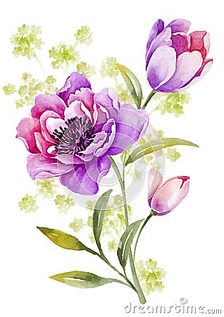 Watercolor illustration flower in simple background Cartoon Illustration