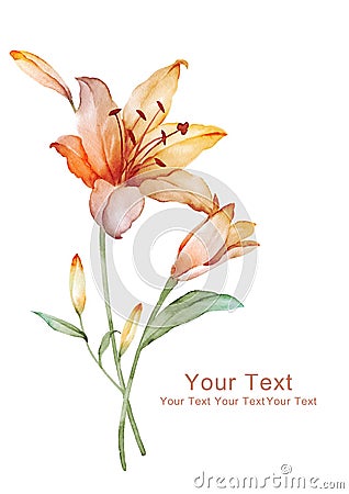 Watercolor illustration flower in simple background Cartoon Illustration