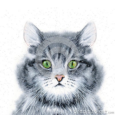 Watercolor illustration of a fluffy gray cat with a beautiful green eye Cartoon Illustration