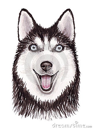 Watercolor illustration of a funny dog. Popular dog breed. Dog. Siberian Husky. Hand made character isolated on white Cartoon Illustration