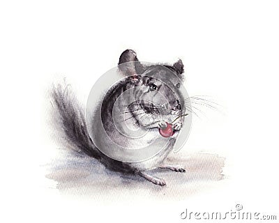 Watercolor illustration of gray fluffy chinchilla with cherry in the paw isolated on white background Cartoon Illustration