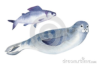 Watercolor illustration. A gray seal and fish. Splashes sketch of wild ocean animals Cartoon Illustration