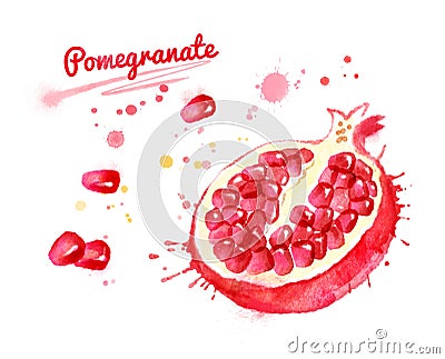 Watercolor illustration of half of pomegranate Cartoon Illustration