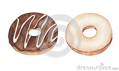 Watercolor illustration. Hand painted classic donuts with white icing and brown chocolate. Sweet food. Dessert doughnuts. Isolated Cartoon Illustration