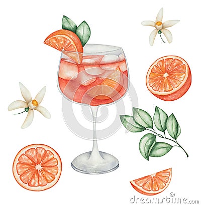 Watercolor illustration of hand painted orange cocktail in glass with slice of orange fruit, green leaves, flowers, cubical ice Cartoon Illustration