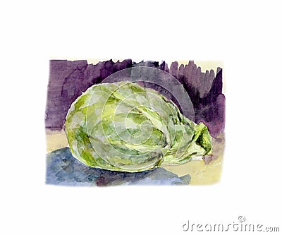 Watercolor illustration of a head of cabbage. Cartoon Illustration