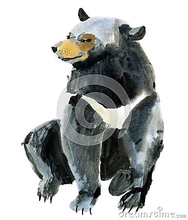 Watercolor illustration of a Himalayan bear in white background. Cartoon Illustration