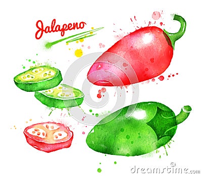 Watercolor illustration of jalapeno pepper Cartoon Illustration