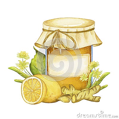 Watercolor illustration with a jar of honey, lemon, ginger root and lime flowers. on a white background Cartoon Illustration