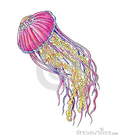 Watercolor illustration with jellyfish. Wavy lines, underwater world. For print, design, postcards and more. Cartoon Illustration