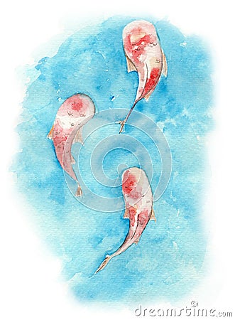 Watercolor illustration of koi carp fish in a pond Cartoon Illustration
