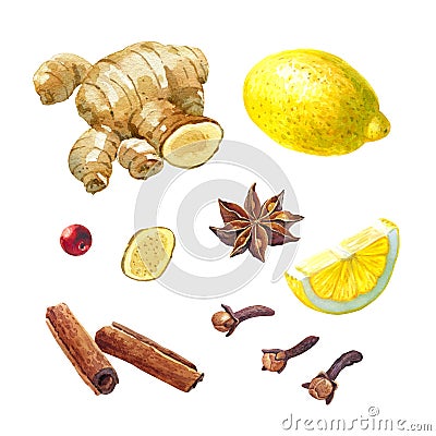 Lemon, giger and winter spices isolated on white watercolor illustration set Cartoon Illustration