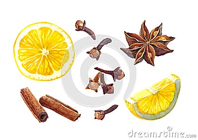 Lemon and winter spices isolated on white watercolor illustration Cartoon Illustration