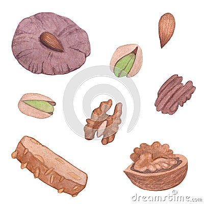 Watercolor illustration nuts biscuits set Cartoon Illustration