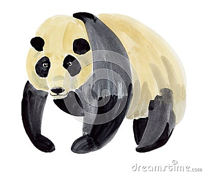 Watercolor illustration of a Panda Cartoon Illustration