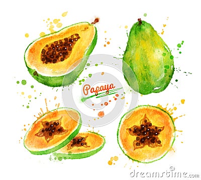 Watercolor illustration of papaya Cartoon Illustration