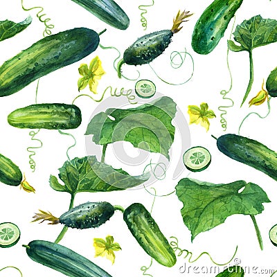 Watercolor illustration, pattern. Cucumbers on a white background Cartoon Illustration