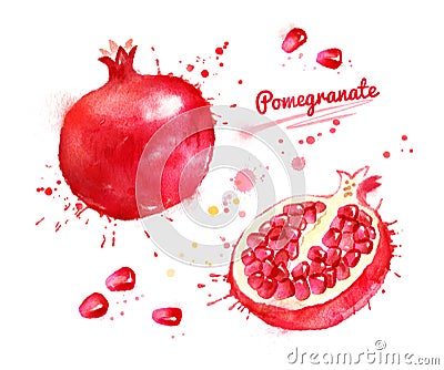 Watercolor illustration of pomegranate Cartoon Illustration