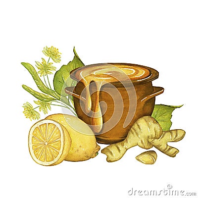 Watercolor illustration with a pot of honey, lemon, ginger root and lime flowers. on a white background Cartoon Illustration