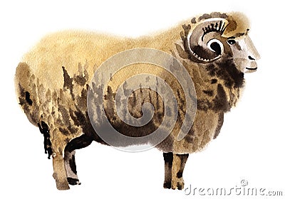 Watercolor illustration of a ram Cartoon Illustration