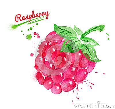 Watercolor illustration of raspberry Cartoon Illustration