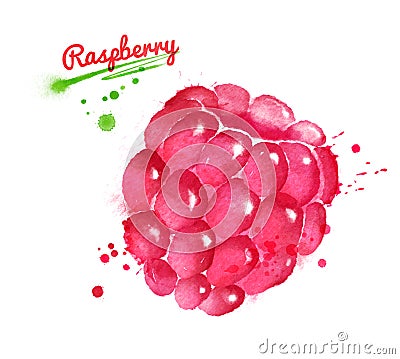 Watercolor illustration of raspberry Cartoon Illustration