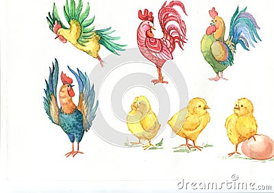 Watercolor illustration rooster and chicken,the symbol of the new year 2017, bright colorful watercolor rooster Cartoon Illustration