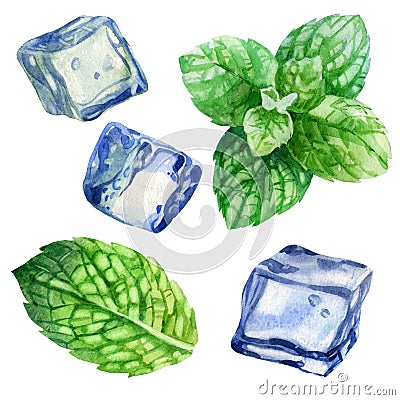 Watercolor illustration, set. An image of mint. Mint leaves. The image of ice. Ice cubes for drinks, cocktails Cartoon Illustration