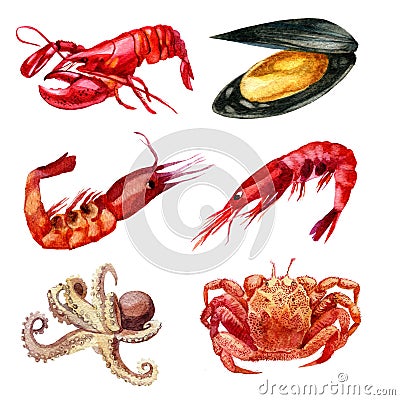 Watercolor illustration. Set of seafood. Shrimp, mussel, cancer, lobster, squid Cartoon Illustration