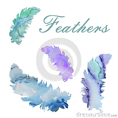 Watercolor illustration. A set of soft feathers filled watercolor backgrounds Cartoon Illustration