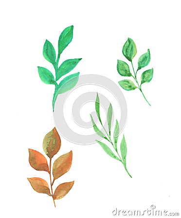 Watercolor illustration of a set of twigs with leaves Cartoon Illustration