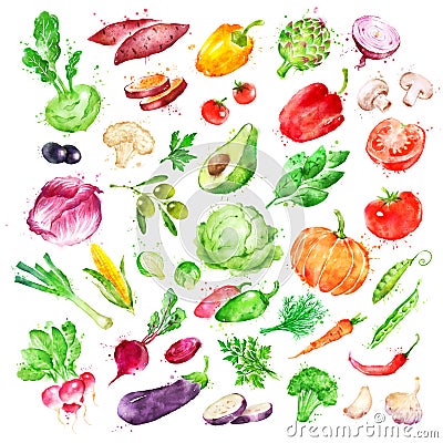 Watercolor illustration set of vegetables Cartoon Illustration