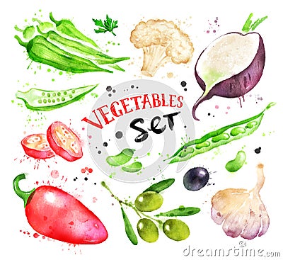 Watercolor illustration set of vegetables Cartoon Illustration