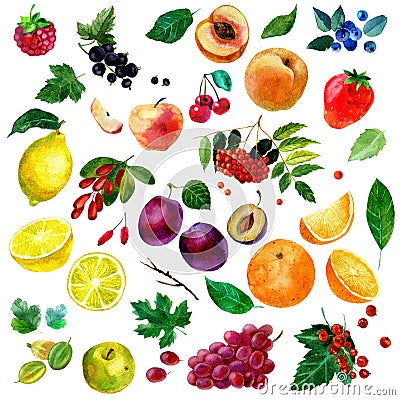 Watercolor illustration, set of watercolor fruit and berries, parts and leaves, peach, plum, lemon, orange, apple, grapes, strawbe Cartoon Illustration