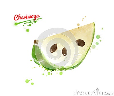 Watercolor illustration of slice of Cherimoya Cartoon Illustration