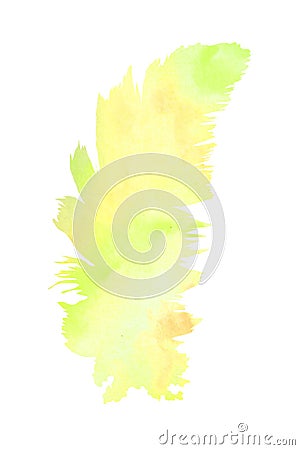 Watercolor illustration. A soft feather filled watercolor background Cartoon Illustration